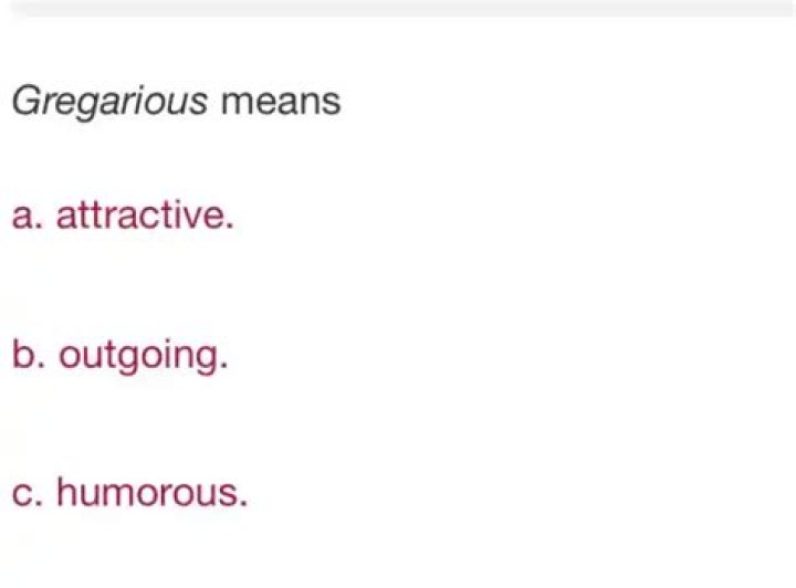 What Gregarious Means: A Comprehensive Guide to Understanding the Term
