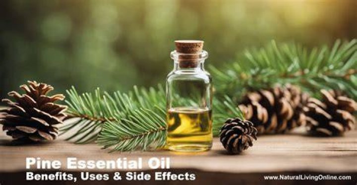What Happens If You Drink Pine Oil: A Comprehensive Guide