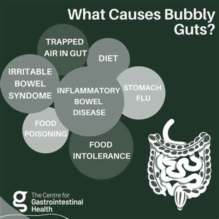 What is Bubble Guts? A Comprehensive Guide to Understanding This Fascinating Phenomenon