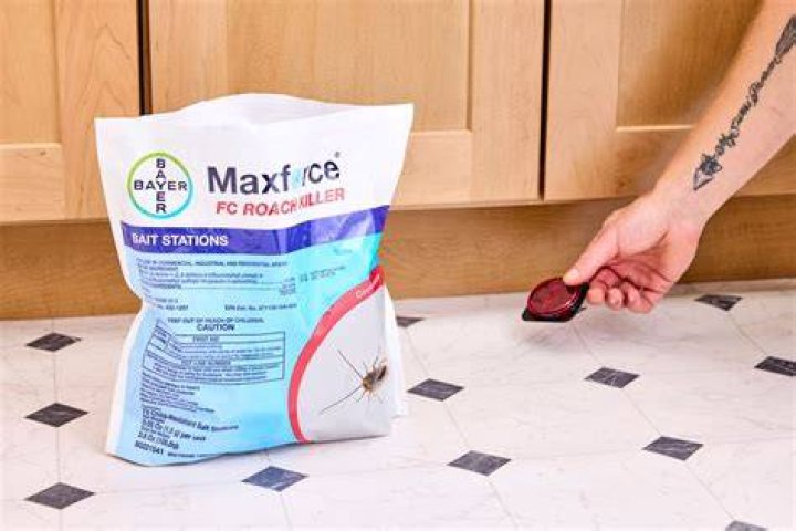 What is the Best Roach Killer on the Market? Discover the Ultimate Solutions