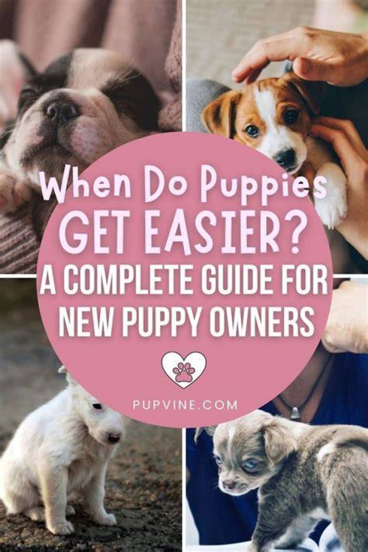 When Does a Puppy Open Its Eyes? A Comprehensive Guide for Puppy Owners