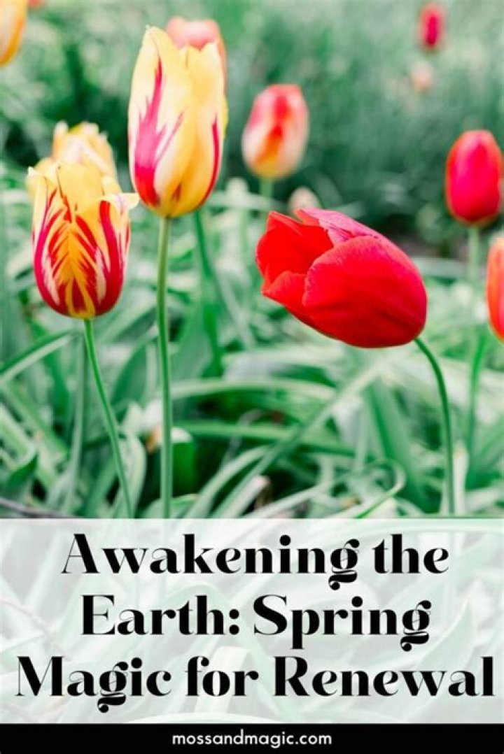 When is Spring 2025? Unveiling the Magic of Renewal