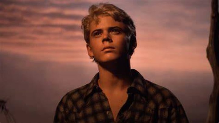 Who is Ponyboy Curtis in The Outsiders: A Comprehensive Exploration
