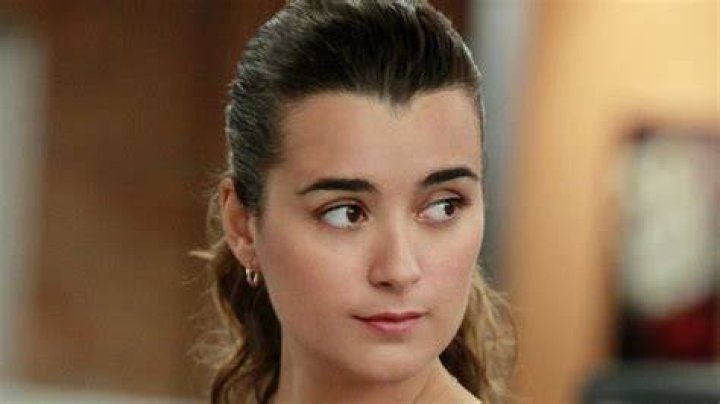 Who Is Ziva David on NCIS: A Comprehensive Guide