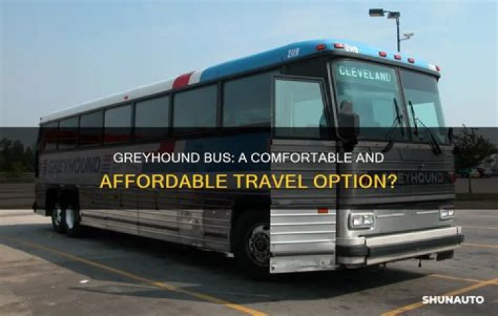 Why Greyhound Charter Bus is Your Best Option for Comfortable and Affordable Group Travel