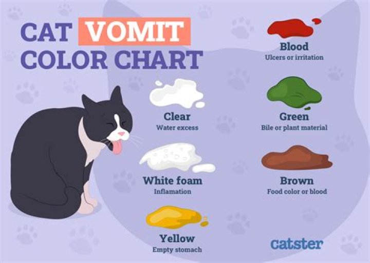 Why Is My Cat Vomiting Green Liquid? A Comprehensive Guide for Pet Owners
