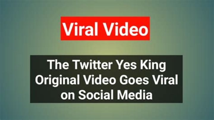 Yes King Videos: A Comprehensive Guide to Trending Content and Its Impact