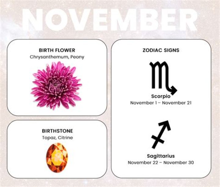 Zodiac Signs of November 19: Understanding the Traits, Characteristics, and Compatibility